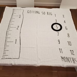 Baby milestone blanket